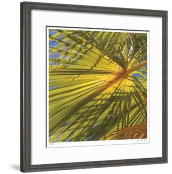 Oasis Shade Square 1-Joy Doherty-Framed Giclee Print
