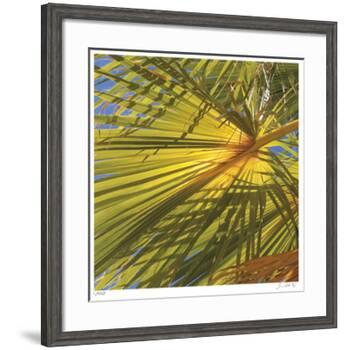 Oasis Shade Square 1-Joy Doherty-Framed Giclee Print