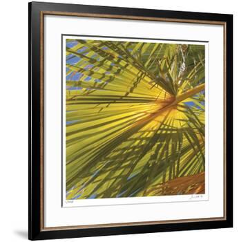 Oasis Shade Square 1-Joy Doherty-Framed Giclee Print