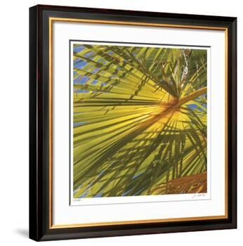 Oasis Shade Square 1-Joy Doherty-Framed Giclee Print