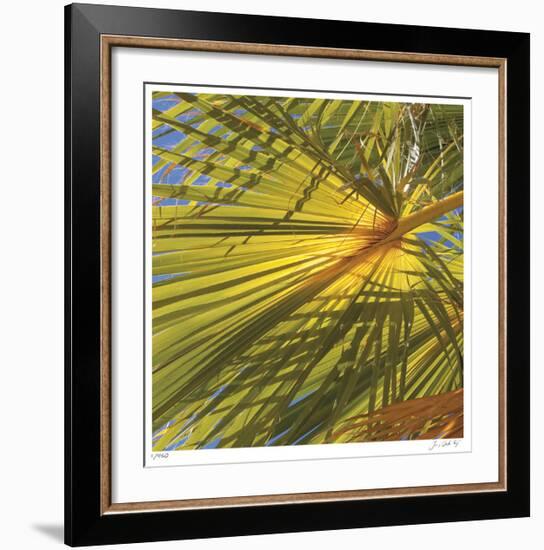 Oasis Shade Square 1-Joy Doherty-Framed Giclee Print