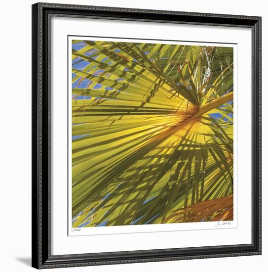 Oasis Shade Square 1-Joy Doherty-Framed Giclee Print