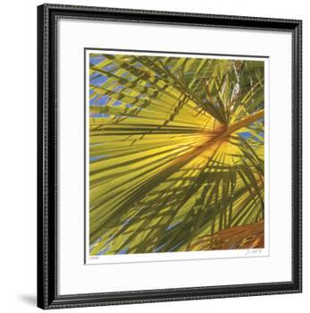 Oasis Shade Square 1-Joy Doherty-Framed Giclee Print