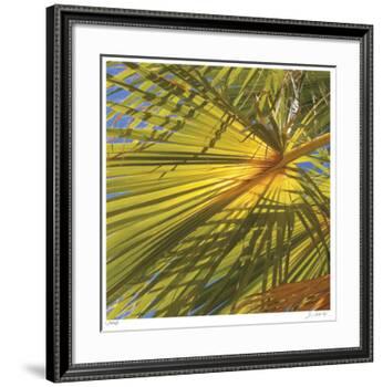 Oasis Shade Square 1-Joy Doherty-Framed Giclee Print