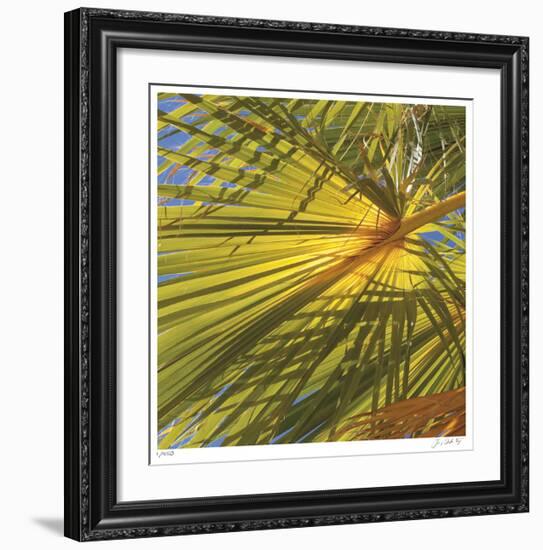 Oasis Shade Square 1-Joy Doherty-Framed Giclee Print