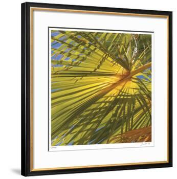 Oasis Shade Square 1-Joy Doherty-Framed Giclee Print