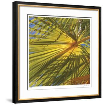 Oasis Shade Square 1-Joy Doherty-Framed Giclee Print