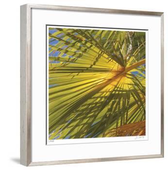 Oasis Shade Square 1-Joy Doherty-Framed Giclee Print