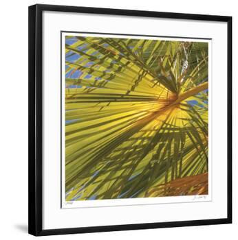 Oasis Shade Square 1-Joy Doherty-Framed Giclee Print