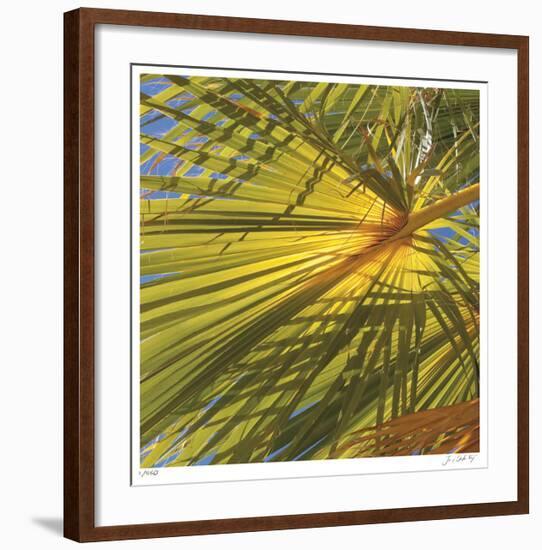 Oasis Shade Square 1-Joy Doherty-Framed Giclee Print