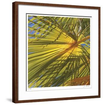 Oasis Shade Square 1-Joy Doherty-Framed Giclee Print