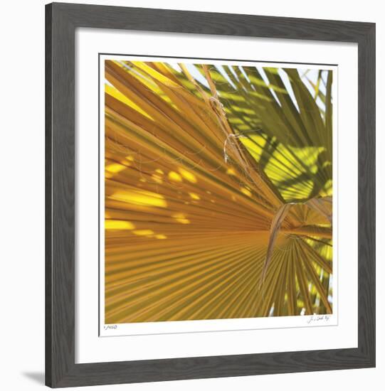 Oasis Shade Square 4-Joy Doherty-Framed Giclee Print