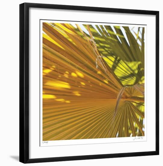 Oasis Shade Square 4-Joy Doherty-Framed Giclee Print