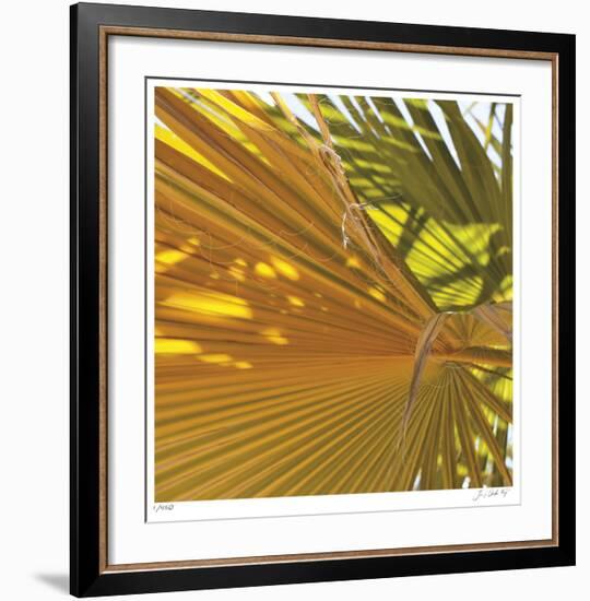 Oasis Shade Square 4-Joy Doherty-Framed Giclee Print