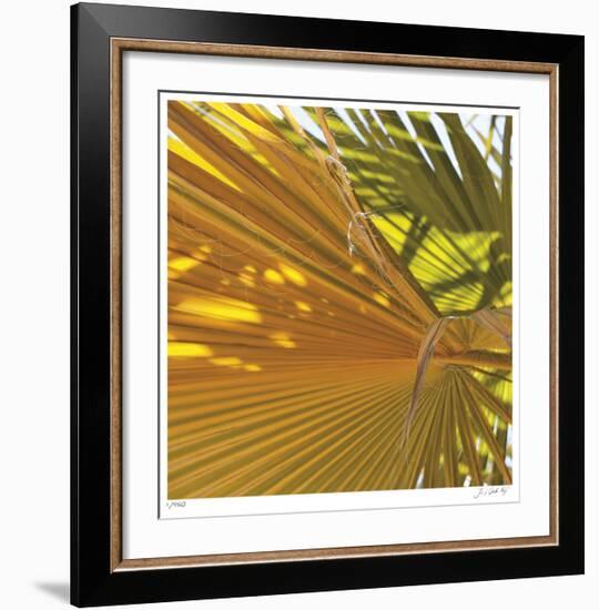 Oasis Shade Square 4-Joy Doherty-Framed Giclee Print