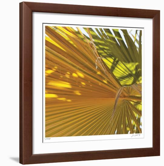 Oasis Shade Square 4-Joy Doherty-Framed Giclee Print