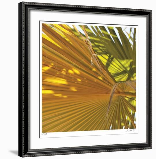 Oasis Shade Square 4-Joy Doherty-Framed Giclee Print