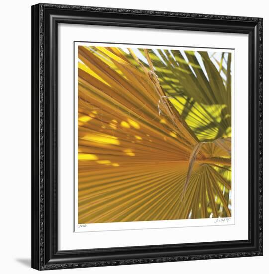 Oasis Shade Square 4-Joy Doherty-Framed Giclee Print