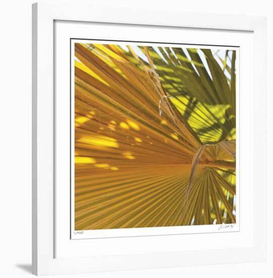 Oasis Shade Square 4-Joy Doherty-Framed Giclee Print