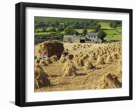 Oat Stooks, Knockshee, Mourne Mountains, County Down, Ulster, Northern Ireland, UK, Europe-Jeremy Lightfoot-Framed Photographic Print
