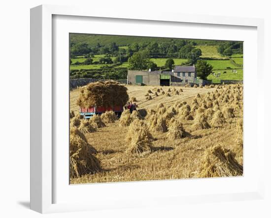 Oat Stooks, Knockshee, Mourne Mountains, County Down, Ulster, Northern Ireland, UK, Europe-Jeremy Lightfoot-Framed Photographic Print