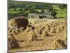 Oat Stooks, Knockshee, Mourne Mountains, County Down, Ulster, Northern Ireland, UK, Europe-Jeremy Lightfoot-Mounted Photographic Print