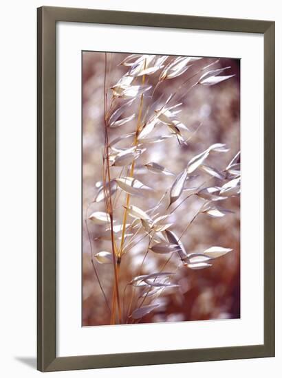 Oats 1-Ken Bremer-Framed Giclee Print