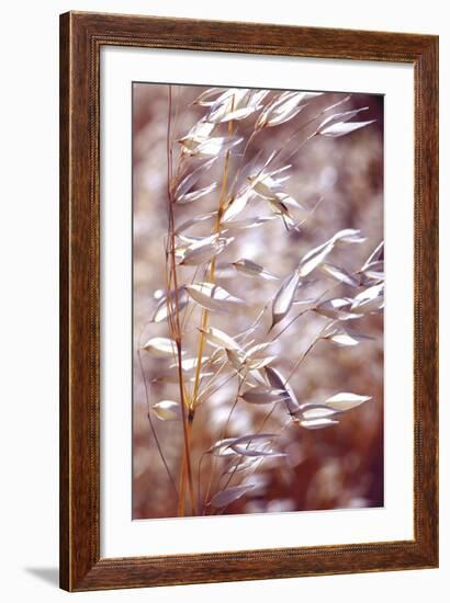 Oats 1-Ken Bremer-Framed Giclee Print