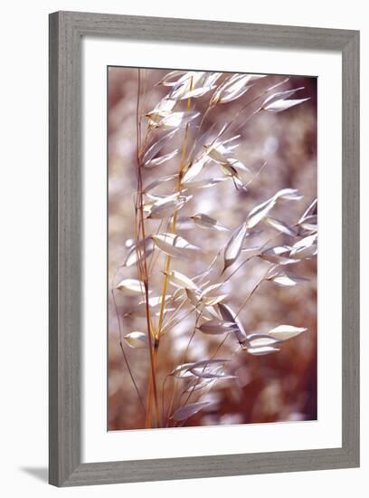 Oats 1-Ken Bremer-Framed Giclee Print