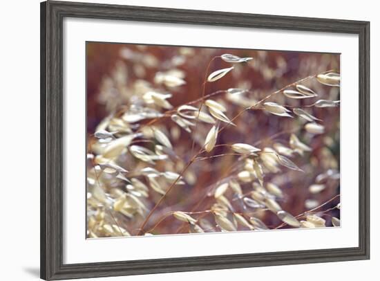 Oats 2-Ken Bremer-Framed Giclee Print