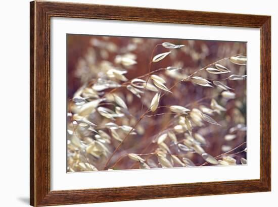 Oats 2-Ken Bremer-Framed Giclee Print