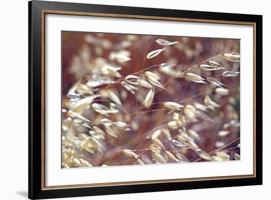 Oats 2-Ken Bremer-Framed Giclee Print