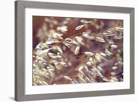 Oats 2-Ken Bremer-Framed Giclee Print