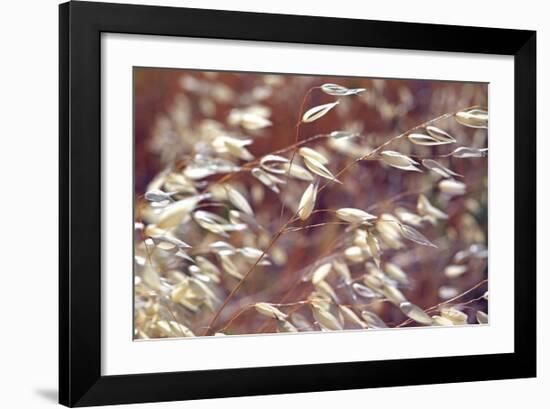 Oats 2-Ken Bremer-Framed Giclee Print