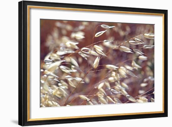 Oats 2-Ken Bremer-Framed Giclee Print