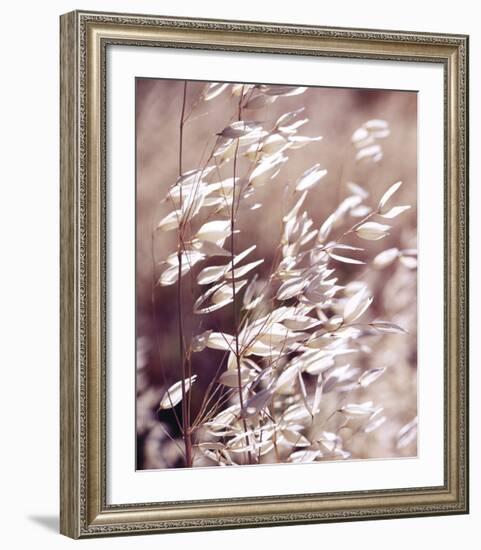 Oats 3-Ken Bremer-Framed Giclee Print