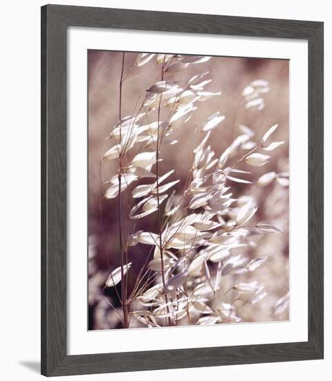 Oats 3-Ken Bremer-Framed Giclee Print