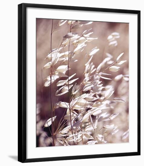 Oats 3-Ken Bremer-Framed Giclee Print