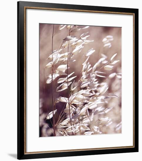 Oats 3-Ken Bremer-Framed Giclee Print