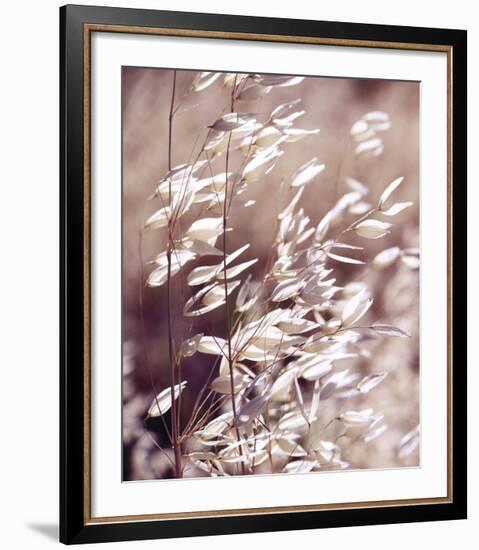 Oats 3-Ken Bremer-Framed Giclee Print