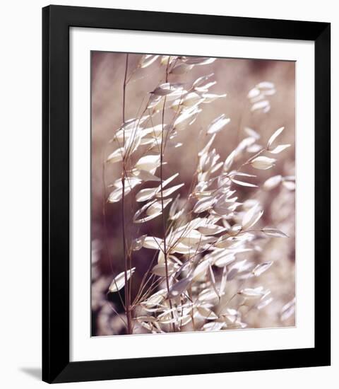 Oats 3-Ken Bremer-Framed Giclee Print