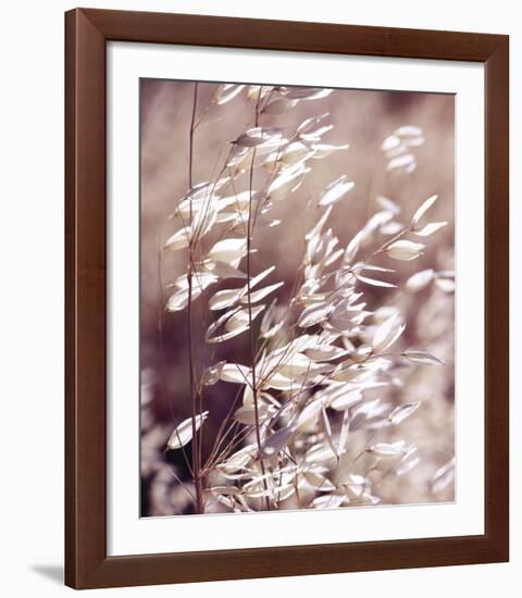 Oats 3-Ken Bremer-Framed Giclee Print