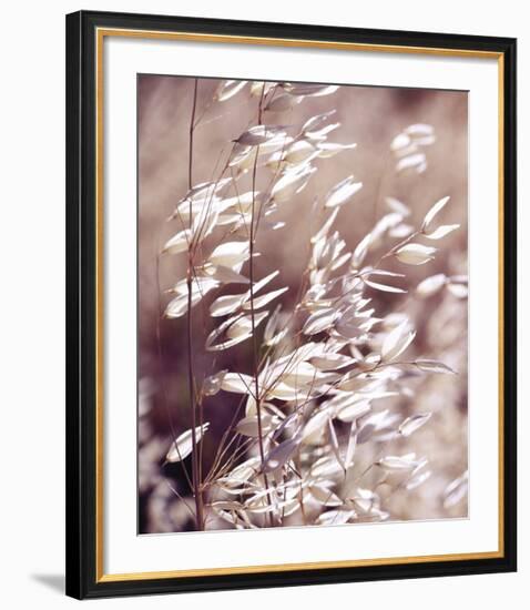 Oats 3-Ken Bremer-Framed Giclee Print