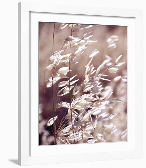 Oats 3-Ken Bremer-Framed Giclee Print