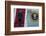 Obama-Manuel Balce Ceneta-Framed Photographic Print