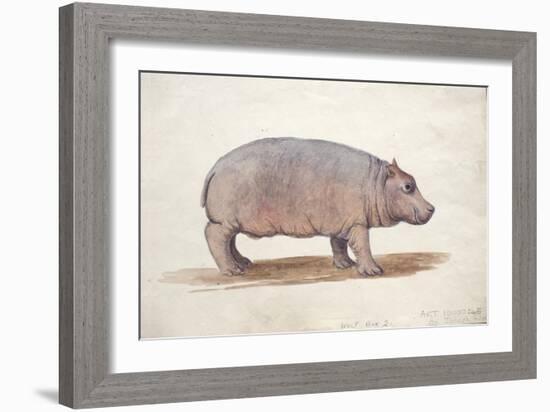 Obaysch, C.1850-Joseph Wolf-Framed Giclee Print