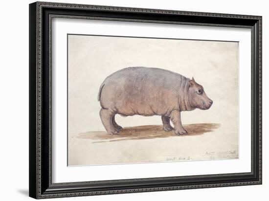 Obaysch, C.1850-Joseph Wolf-Framed Giclee Print