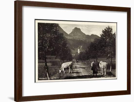 Oberaudorf Am Inn, Rinderherde Kommt Von Der Weide-null-Framed Giclee Print