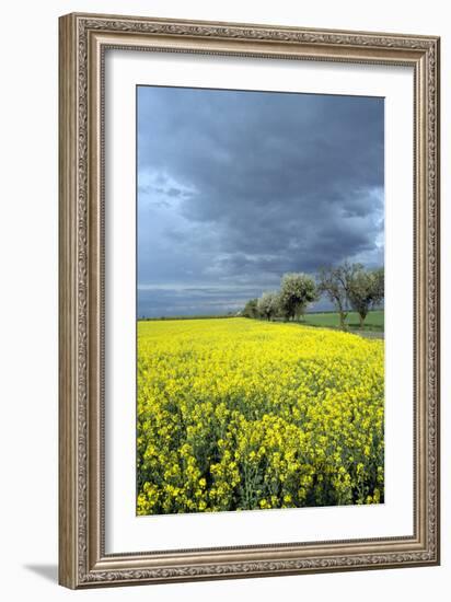 Oberlausitz, Landscape - Germany-Barbara Optiz-Framed Photographic Print