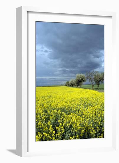 Oberlausitz, Landscape - Germany-Barbara Optiz-Framed Photographic Print